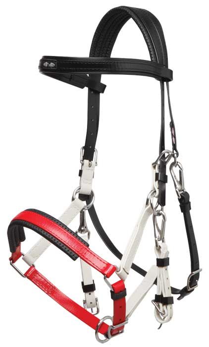 Bridle Marathon - Billede 7