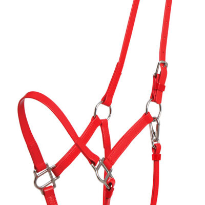 Halter part